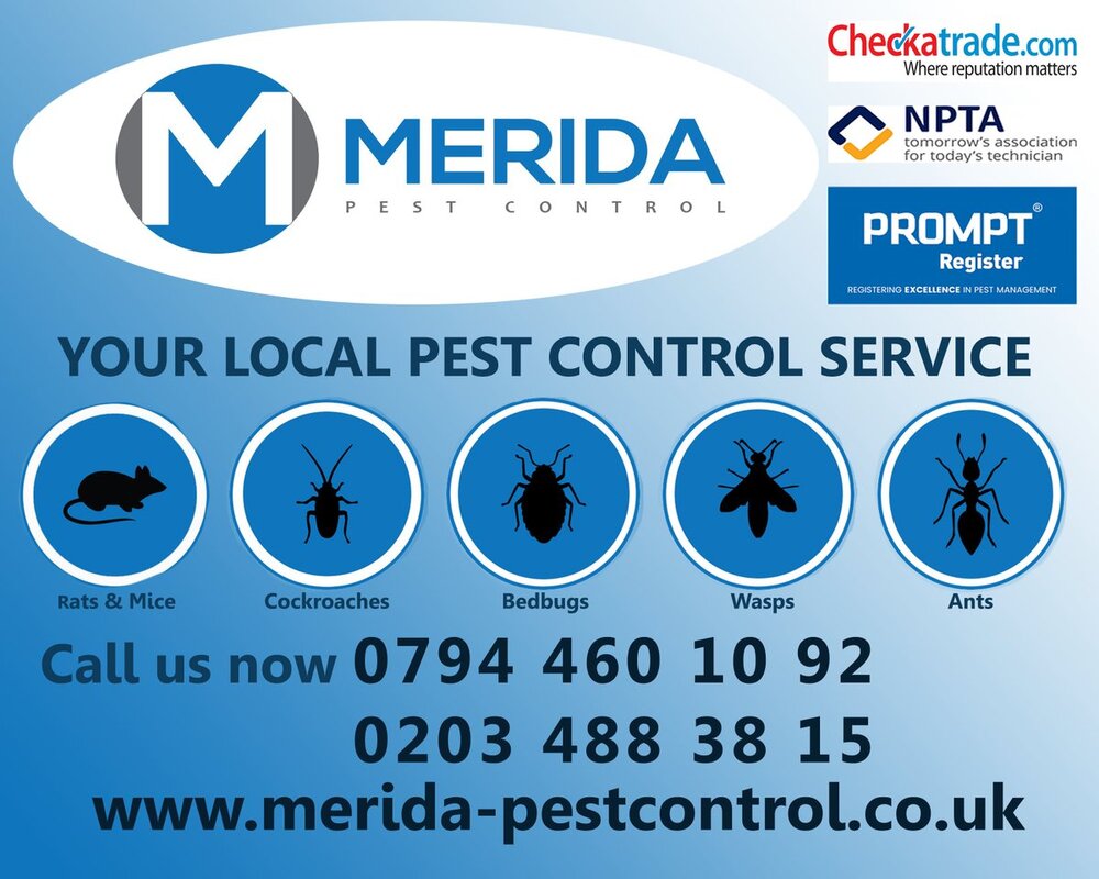 About Our Pest Control Shepherds Bush - MERIDA PEST CONTROL